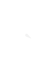 choose recovery mode