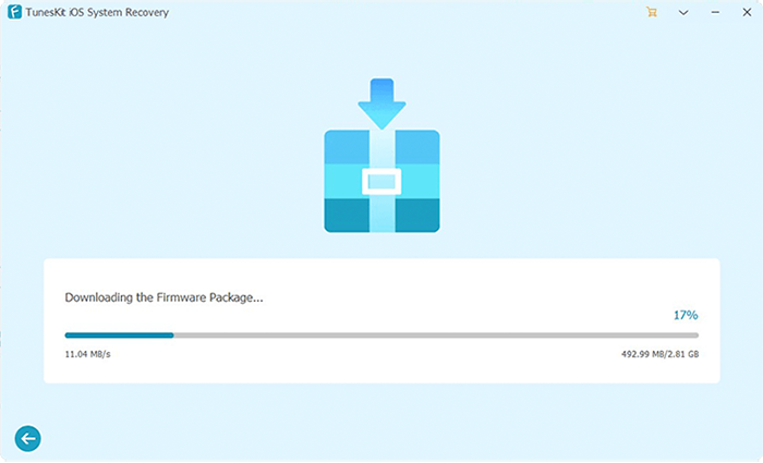 downloading firmware