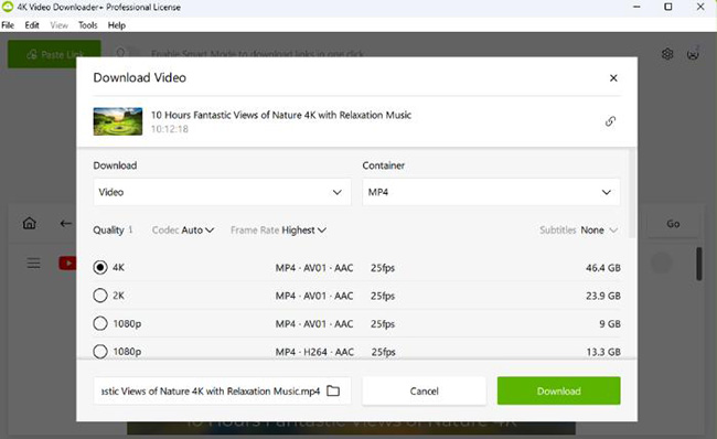 4k video downloader download window
