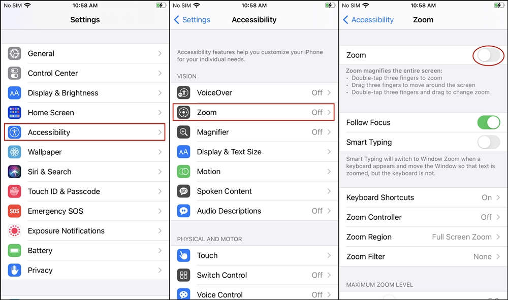 accessibility disable zoom