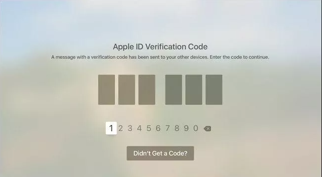add verification code