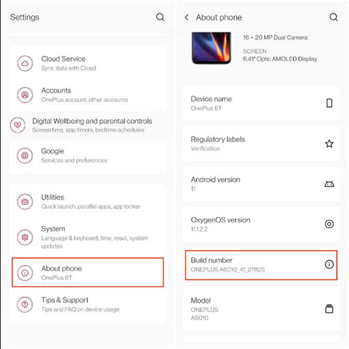 enable developer mode