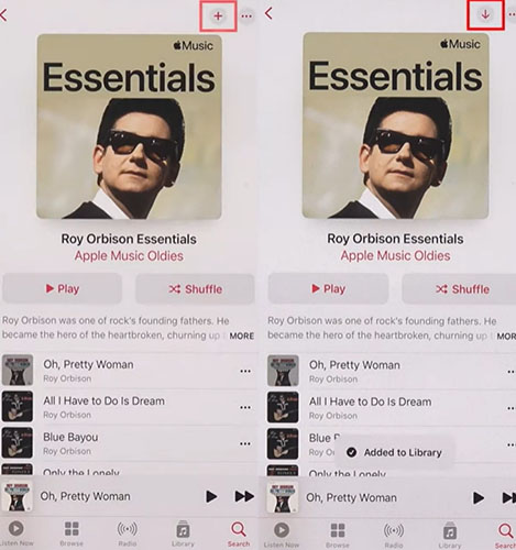 apple music playlist download