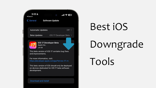 best ios downgrade tools
