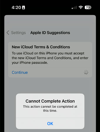 cant accept new icloud terms and conditions
