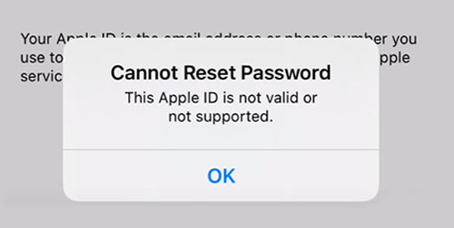cant reset apple id password
