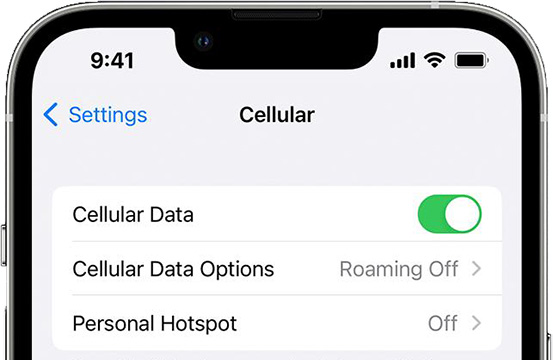 cellular data settings iphone