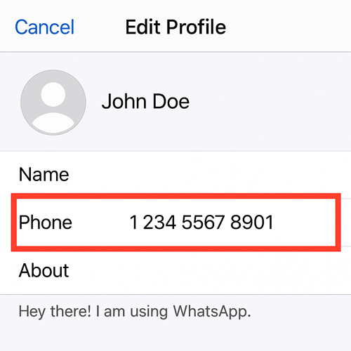check whatsapp number