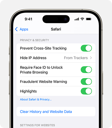 clear safari data