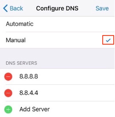configure iphone dns
