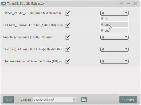 set subtitle settings