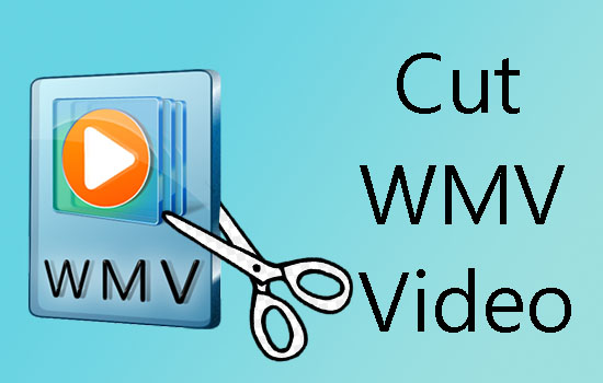 cut wmv video