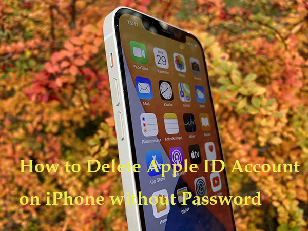 how to delete apple id without password