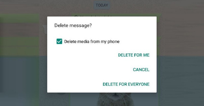 delete for everyone on android