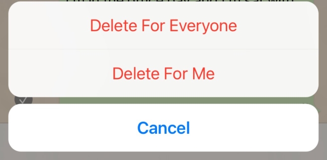 delete for everyone