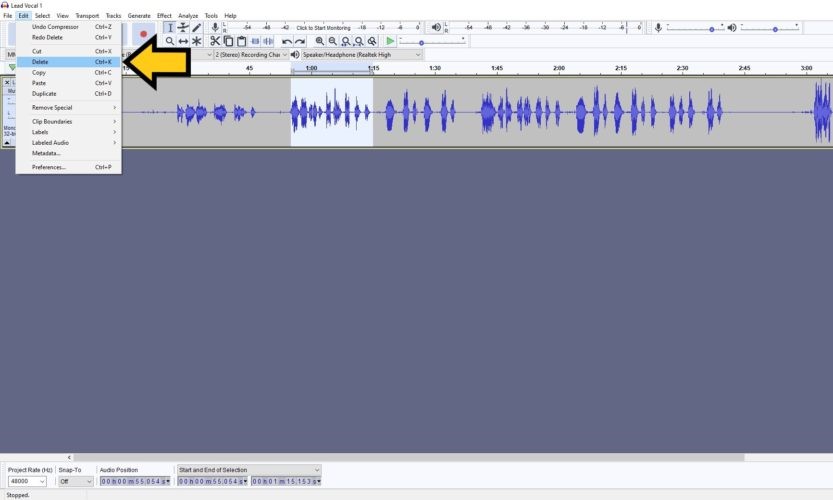 audacity cut middle of song