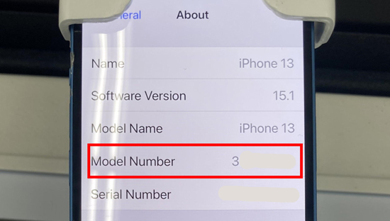 unique demo iphone model number