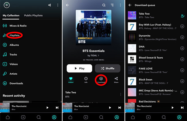 download tidal music