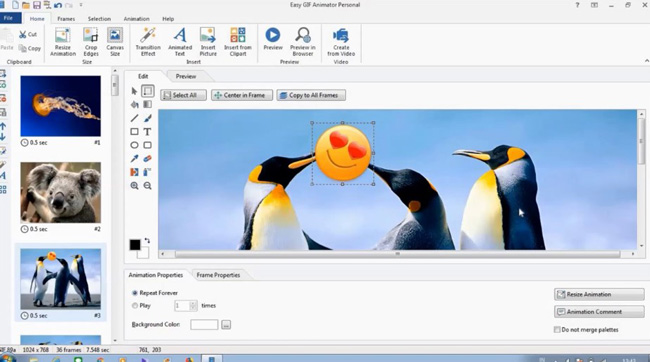 Easy GIF Animator - animated GIF image editor for Windows.