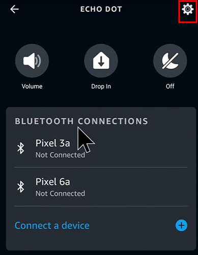 echo dot setting icon