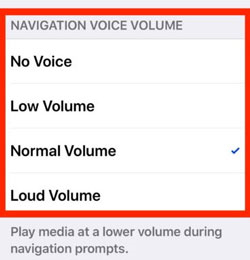 enable apple maps voice navigation