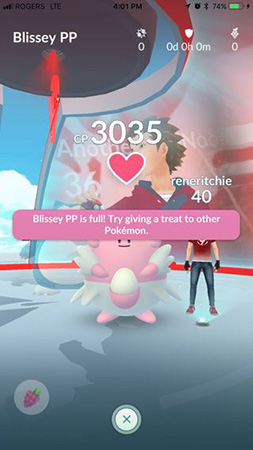 feed pokemon in gyms