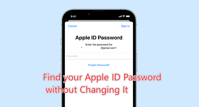 find your apple id password without changing it