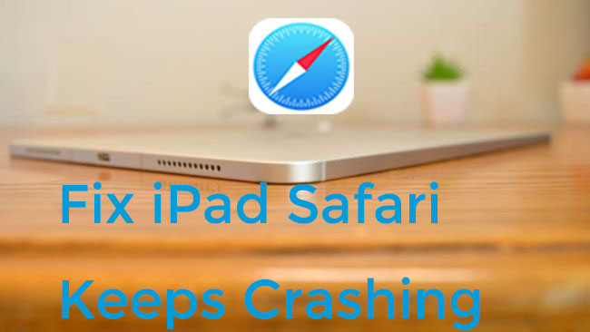 fix ipad safari keeps crashing
