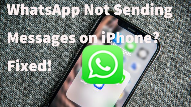 iphone whatsapp not sending messages