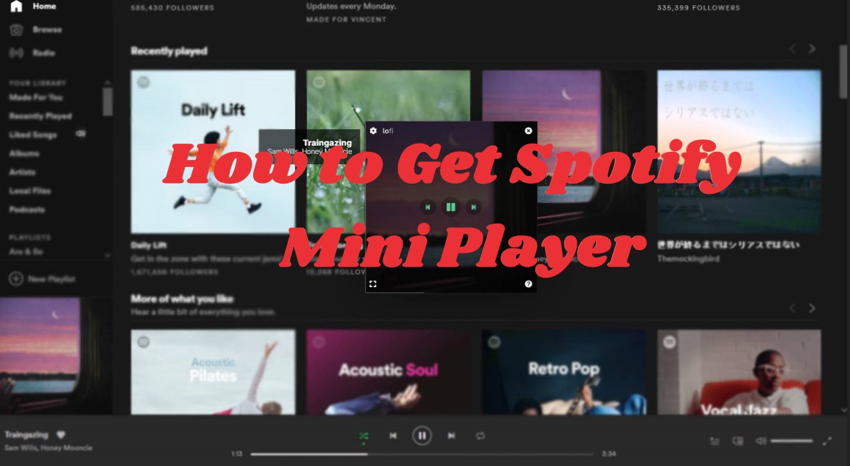 small spotify player windows