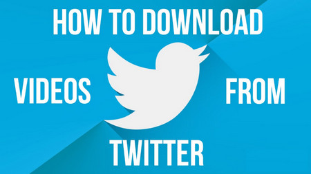 Save Twitter Videos