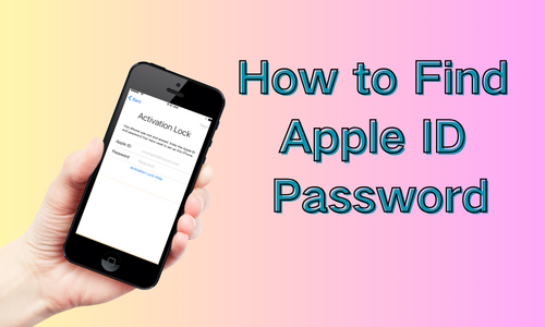 how to find my apple id password