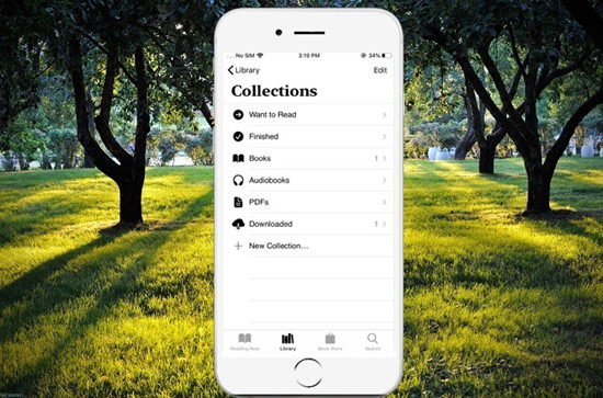 ibooks interface