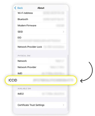 iccid