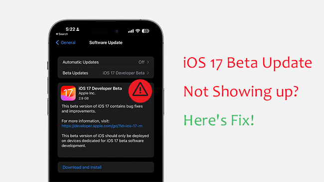 fix ios 17 beta update not showing up