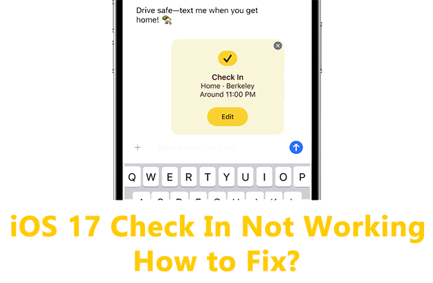 fix ios 17 check in not working