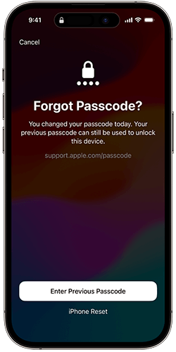 enter previous passcode