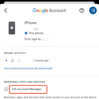 ios account manager window