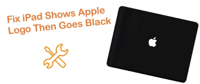 fix ipad shows apple logo then goes black