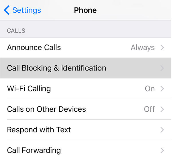 settings aboout calls on iphone