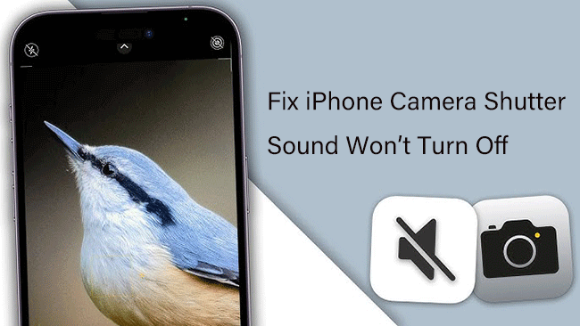 fix iphone camera shutter sound wont turn off