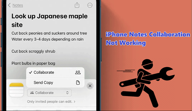 iphone notes collaboration not working