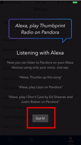 iphone pandora step 5