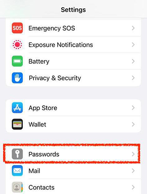 iphone passwords app check icloud email