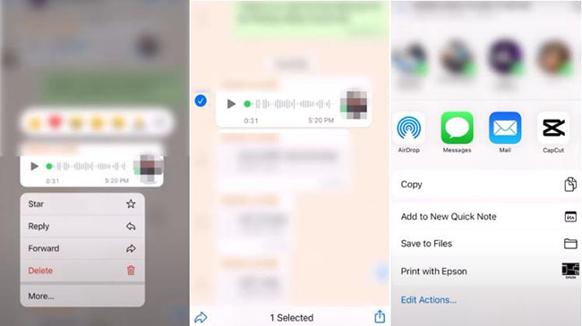 iphone save whatsapp audio message