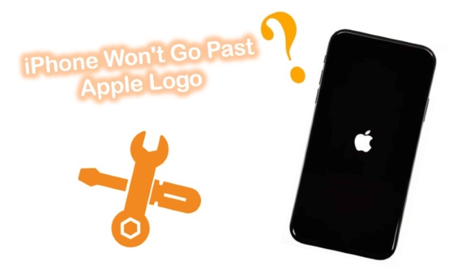 iphone wont go past apple logo
