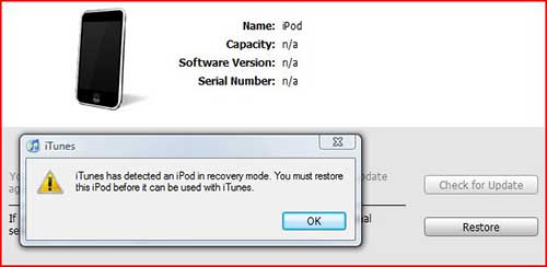 restore ipod in dfu mode with itunes