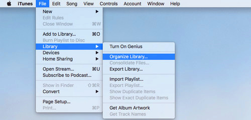 itunes organize library