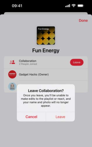 leave collaboration playlist