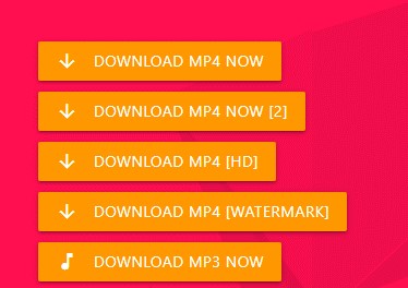 No.1 TikTok to MP3 Converter- Download TikTok MP3 Audio